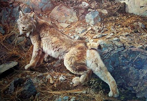 (image for) Handmade oil painting Copy paintings of famous artists Carl Brenders Paintings In Northern Hunting Gro